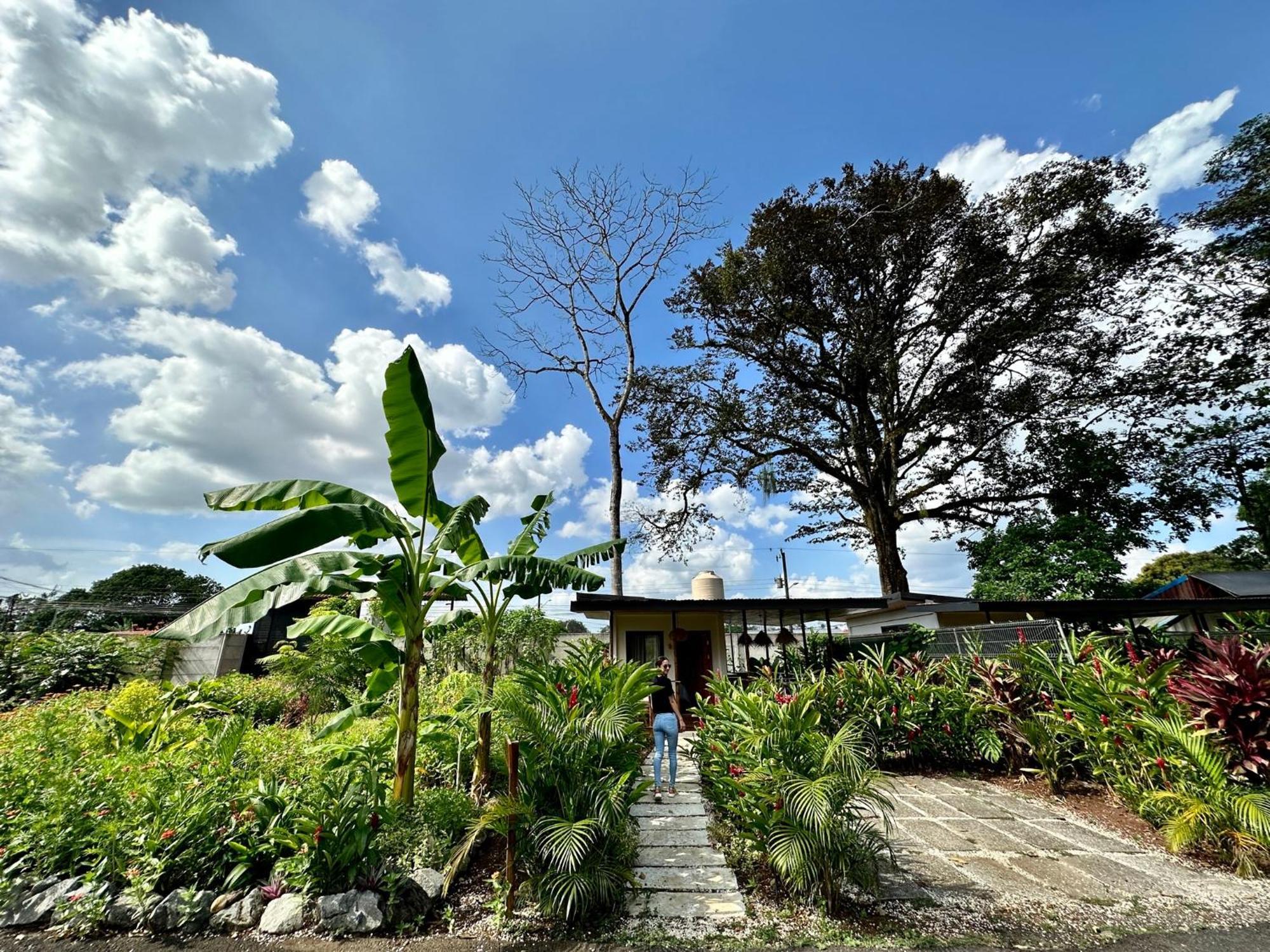 Almendros Eco-Villas La Fortuna المظهر الخارجي الصورة