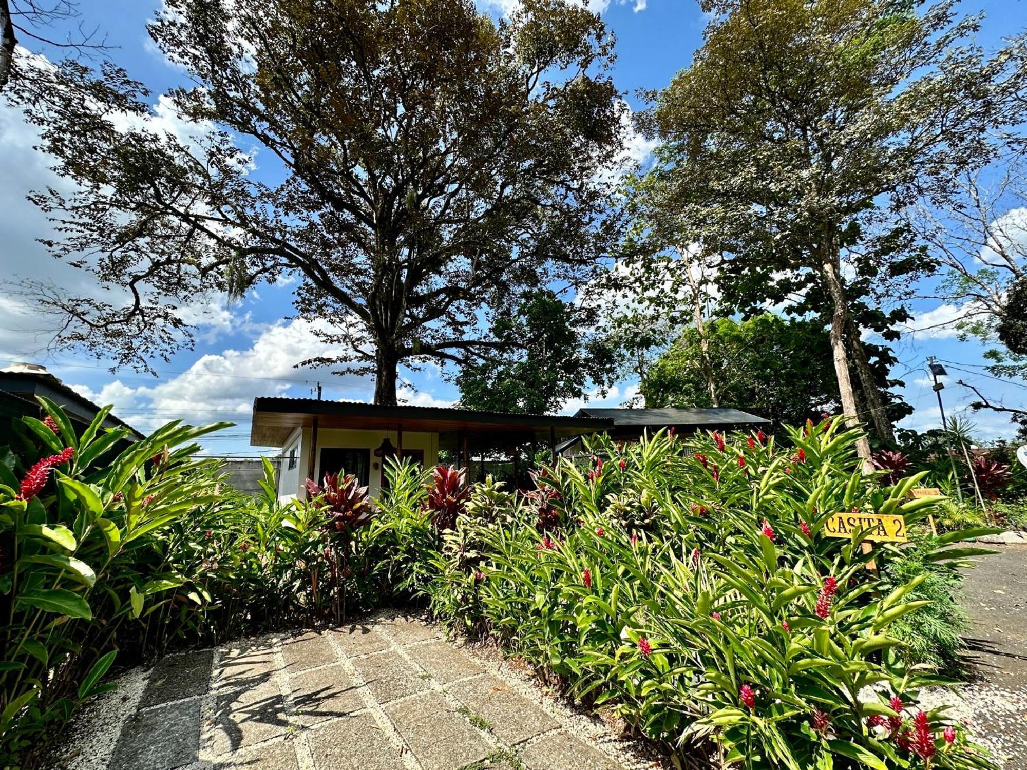 Almendros Eco-Villas La Fortuna المظهر الخارجي الصورة