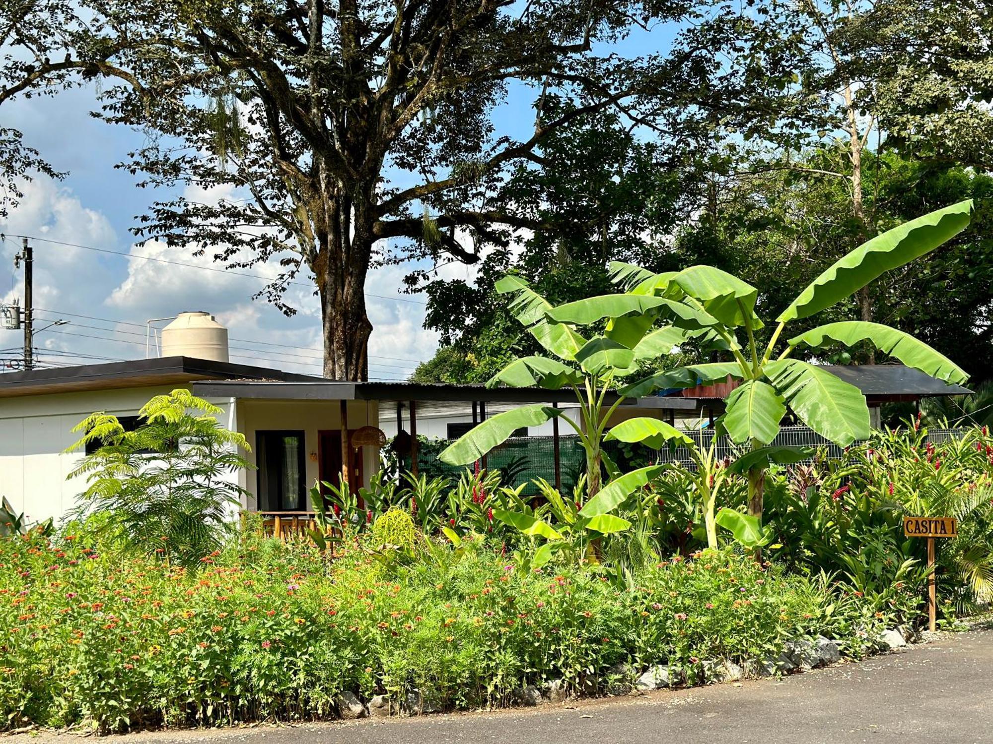 Almendros Eco-Villas La Fortuna المظهر الخارجي الصورة