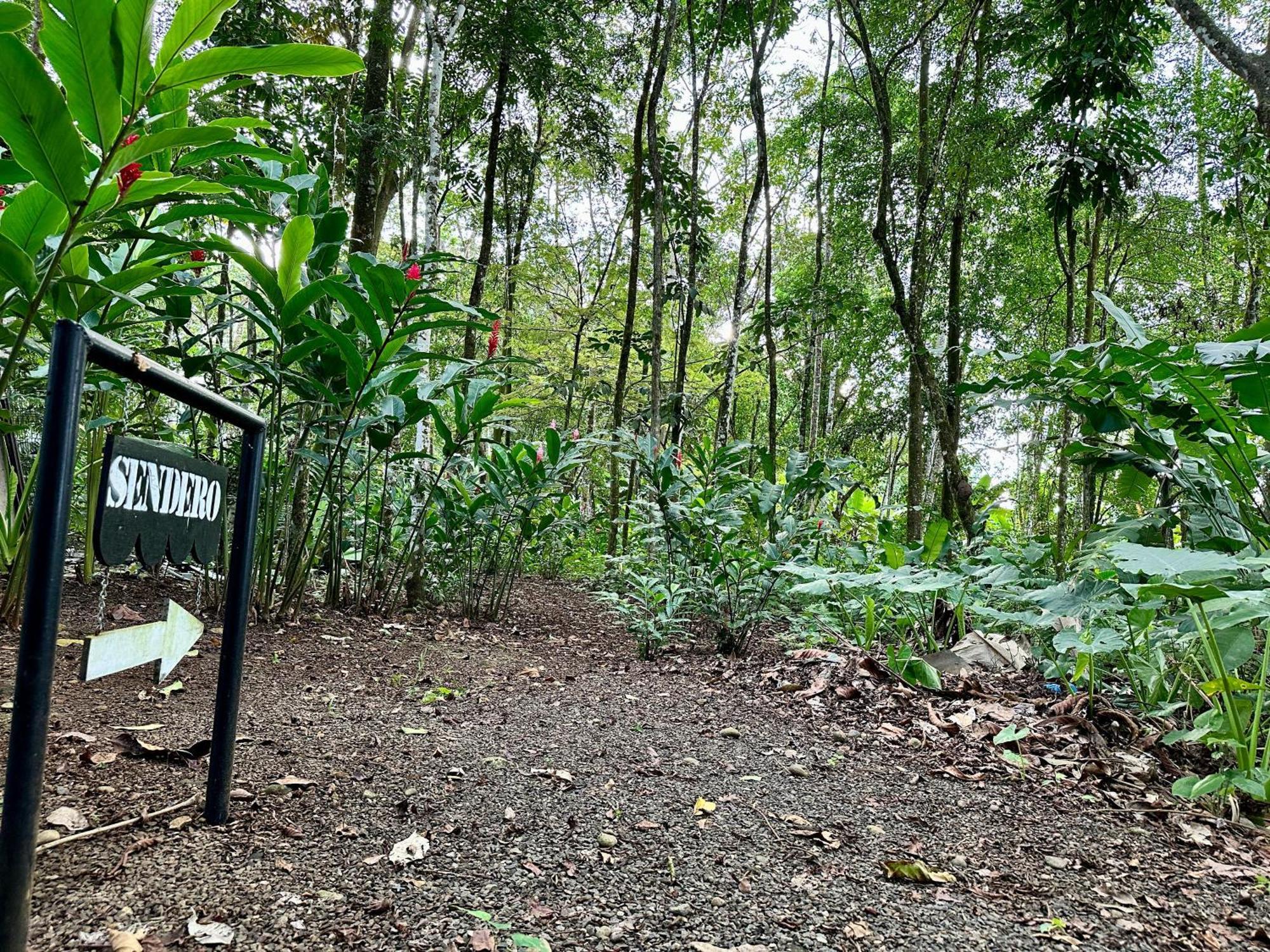 Almendros Eco-Villas La Fortuna المظهر الخارجي الصورة